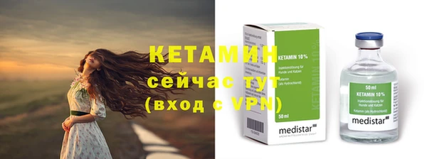 дживик Мегион