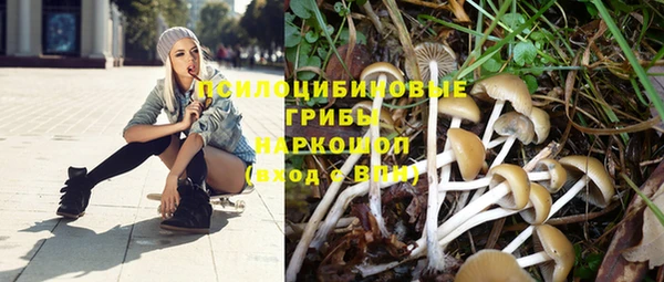 a pvp Медвежьегорск