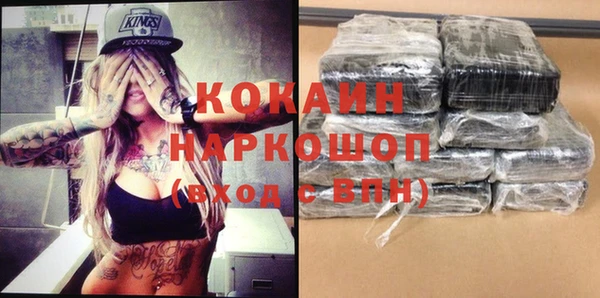 дживик Мегион