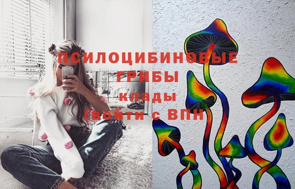 прущая мука Медногорск