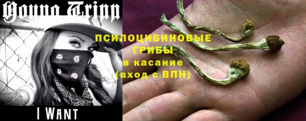 a pvp Медвежьегорск