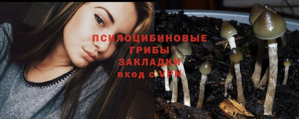 прущая мука Медногорск