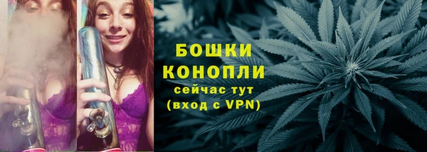 дживик Мегион