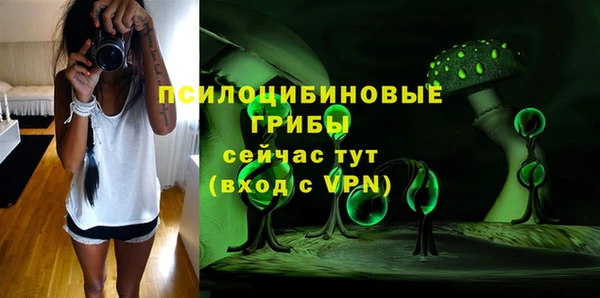 a pvp Медвежьегорск