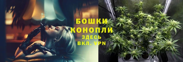 дживик Мегион