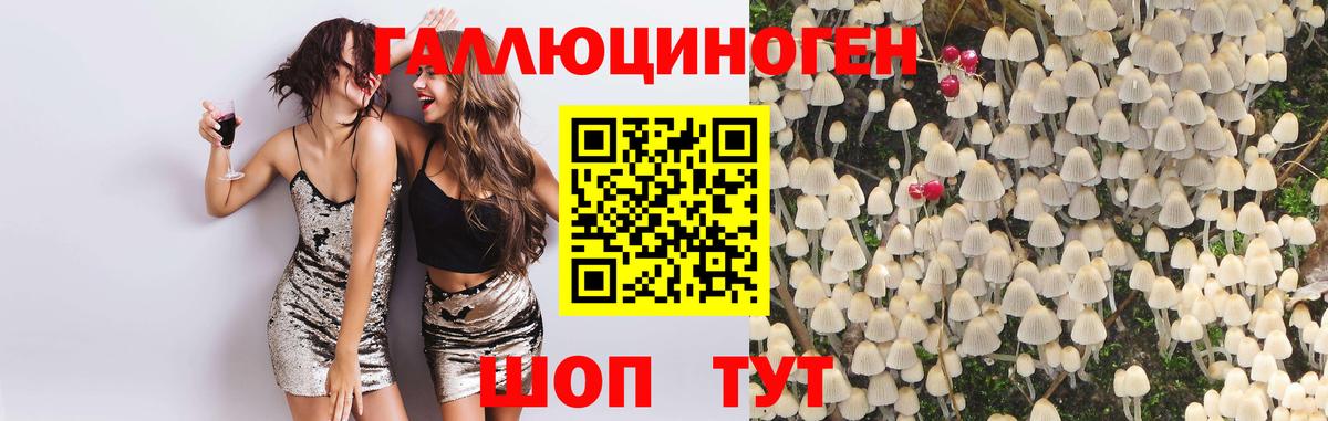 Галлюциногенные грибы мицелий  Псилоцибиновые грибы Psilocybe  Вход с VPN  Саки 