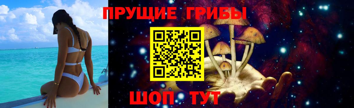 Псилоцибиновые грибы Psilocybine cubensis Саки